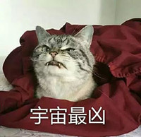 猫咪 宇宙最凶 呲牙 可怕