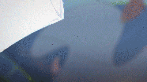 動漫 美女 漂亮 soogif