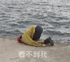 搞怪 看不到我 搞笑 逗 沙雕