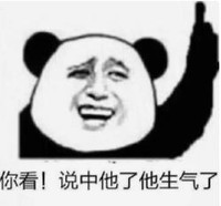暴漫 文字表情包 你看 说中他了他生气了 搞笑 逗 沙雕