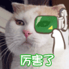 厉害 厉害 厉害 腻害