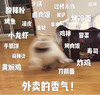 萌宠 喵星人 外卖的香气 饿了 搞怪 逗