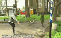 非凡搭档 赶鸭子 帅哥 搞笑