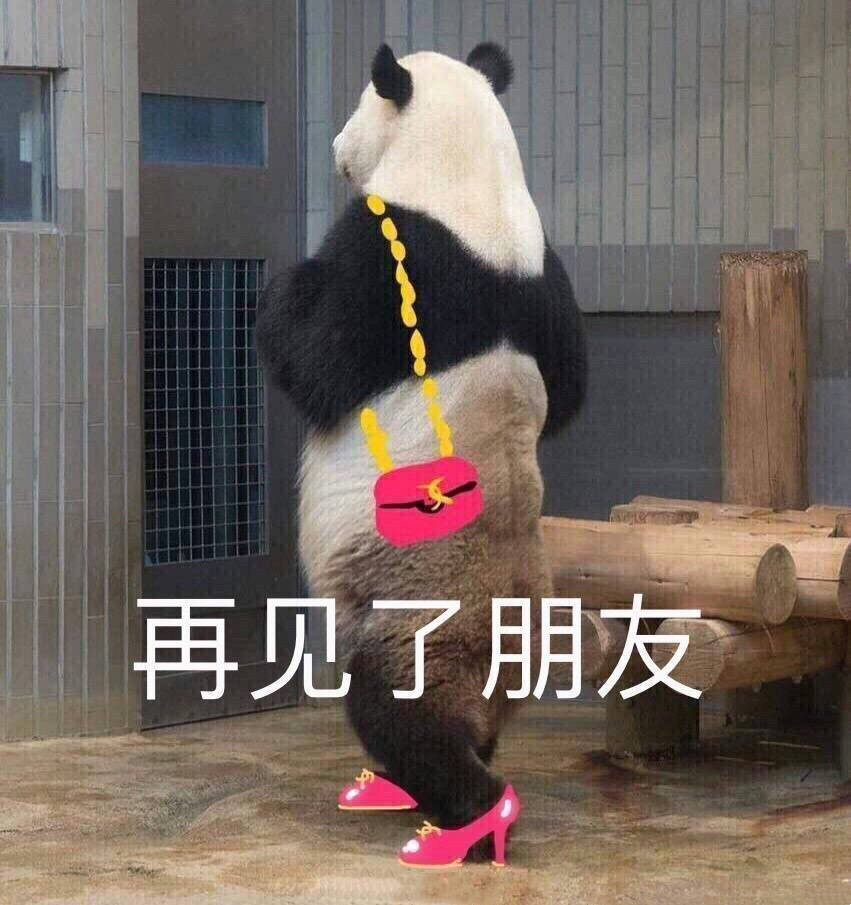 熊猫 再见了朋友 穿高跟鞋 潇洒