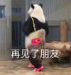 熊猫 再见了朋友 穿高跟鞋 潇洒