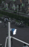 杨洋   郑爽   骑自行车   微微一笑很倾城
