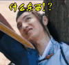 楚乔传 赵西风 懵圈