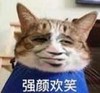 金馆长 猫头 搞笑 强颜欢笑