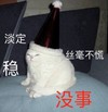 萌宠 猫星人 淡定 丝毫不慌 搞怪 逗