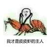 暴漫 恶搞 雷人 斗图 我才是皮皮虾的主人