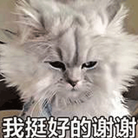 我挺好的 谢谢 猫