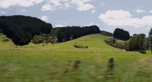 新西兰 牧场 纪录片 草地 风景