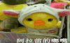明星网红 阿拉蕾 嘟嘴 小黄鸭