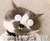 猫咪 可爱 呆萌 斗图 被金钱蒙蔽了双眼