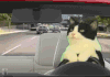 猫  开车 坏猫 我靠