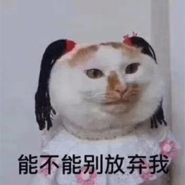 萌宠 猫咪 猫 能不能别放弃我 伤心