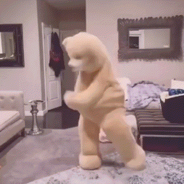 玩偶熊 跳舞 魔性 搞怪