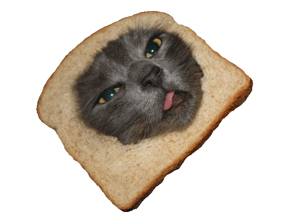 面包 可爱 摇晃 transparent 小猫