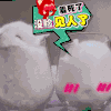 萌兔 杯子 蠢萌 没脸见人了