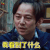 向往的生活2 何炅 我看到了什么 蒙圈 soogif soogif出品