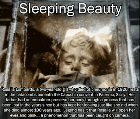 SleepingBeauty 萝莉 萌萌哒 论睡眠的重要性