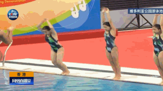奥运代表团访港 跳水队 跳水 花式跳水 跳水表演