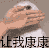 萌宠 喵星人让我看看 给我瞅瞅 呆萌 可爱