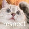萌宠 猫星人 respect 尊重 搞怪 呆萌