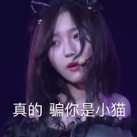 GNZ48 谢蕾蕾 可爱 小姐姐 文字表情包