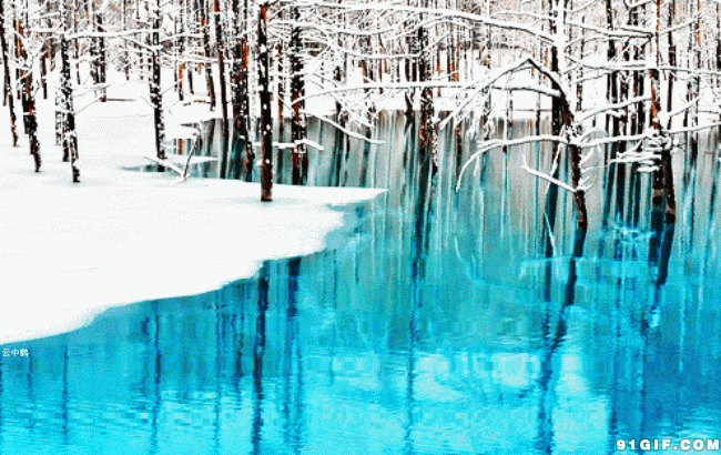 树林 冬天 湖水 清澈