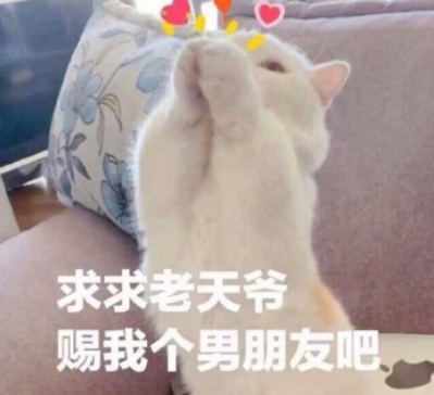 逗比 搞笑 蠢萌 文字表情包 魔性