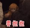 soogif soogif出品 地球神奇的一天 要抱抱