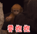 soogif soogif出品 地球神奇的一天 要抱抱