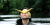 嘎嘎小姐 ladygaga