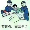 老实点 回三中了 斗图 搞笑 交警