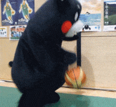熊本熊 玩球 可爱 萌宠