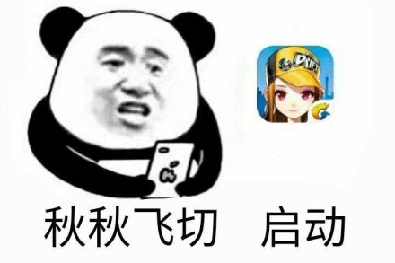 熊猫头 恶搞 雷人 无节操 斗图 秋秋飞切 启动 QQ飞车