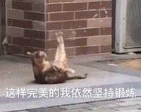 萌宠 汪星人 这样完美的我依然坚持锻炼 加油 呆萌 可爱