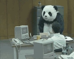 办公室 熊猫 去他妈的 愤怒 愤怒退出 愤怒地离开游戏 砸键盘