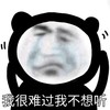 暴漫 熊猫头 我很难过 我不想听 搞怪 逗