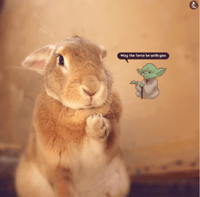 兔子 可爱 萌萌哒 大耳朵