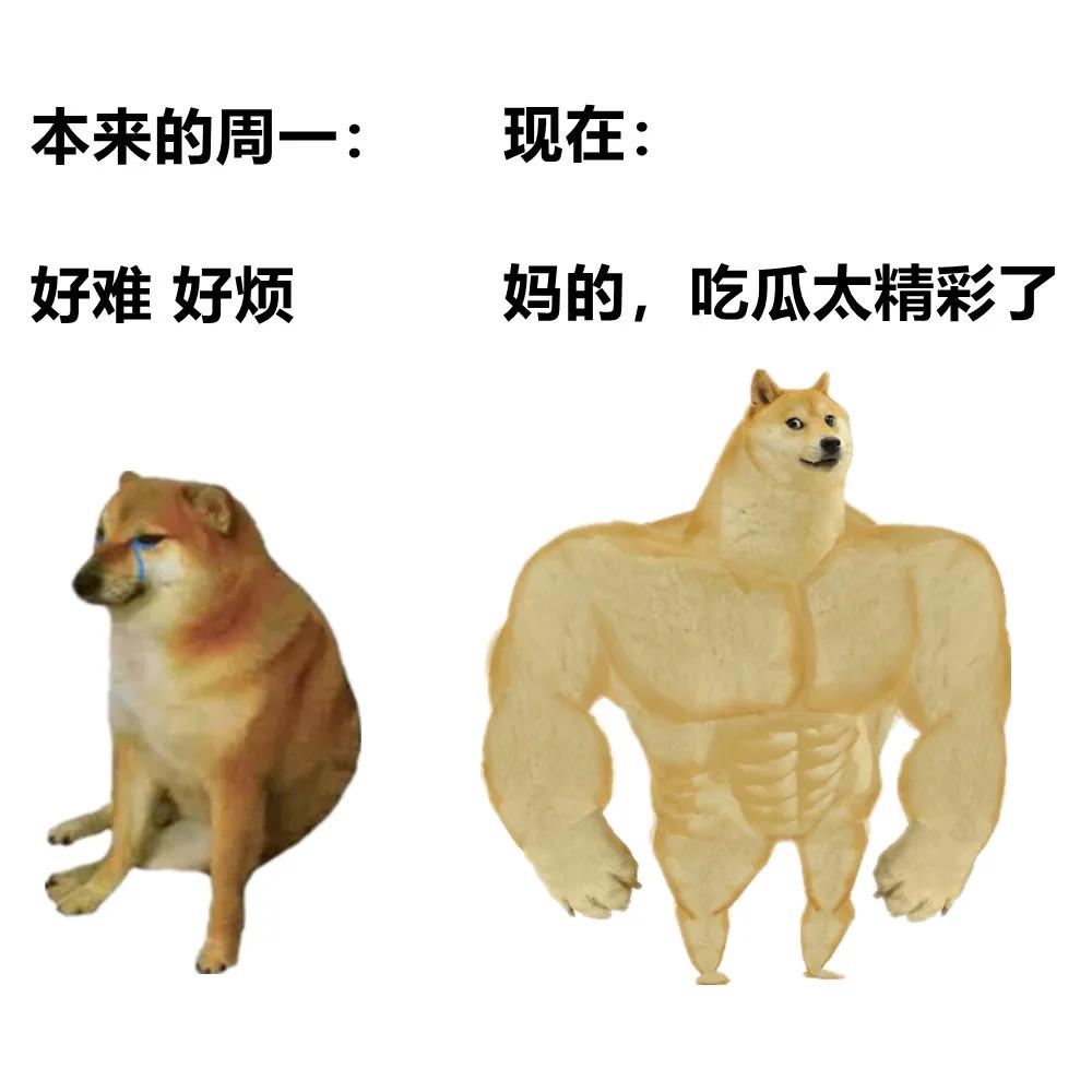 萌宠 汪星人 本来的周一很无聊 吃瓜太精彩了 搞怪 逗