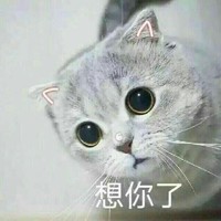 萌宠 猫星人 想你了 开心 呆萌 可爱