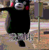 到了吗 我到啦 熊本熊