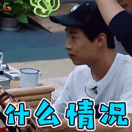 向往的生活GIF表情图_向往的生活动态_向往熊猫动态表情包怎么做图片