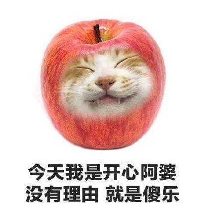 水果 蔬菜 喵星人 可爱 搞笑