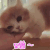 蹭 猫 可爱