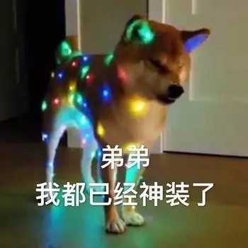 萌宠gif猫星人gif弟弟gif我都已经神装了gif搞怪gif可爱gif