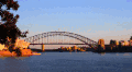 大洋洲 悉尼 树 桥 歌剧院 河 澳大利亚 纪录片 阳光 风景