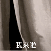 萌宠 喵星人 我来啦 出现 呆萌 可爱